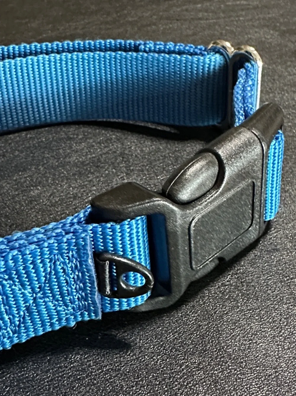 Petsafe Large Blue Nylon New Dog Collar